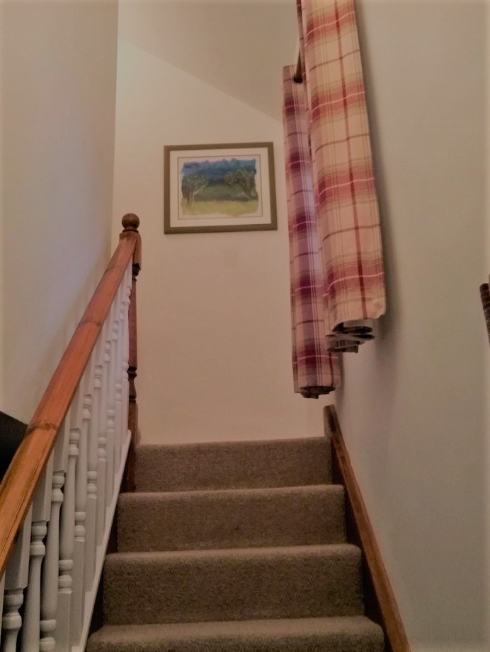 Tree picture reframed 2